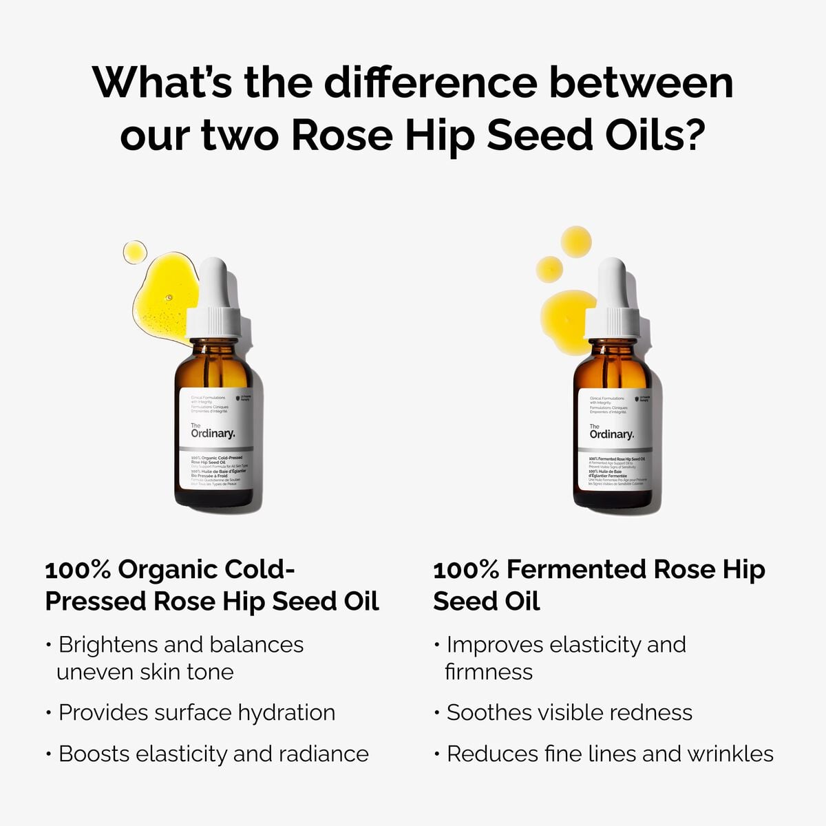 100-fermented-rose-hip-seed-oil-x2 fermented-rose-hip-vs-organic-rose-hip-graphic.jpg